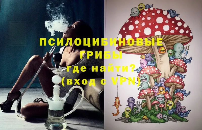 mega ONION  Тулун  Галлюциногенные грибы MAGIC MUSHROOMS 